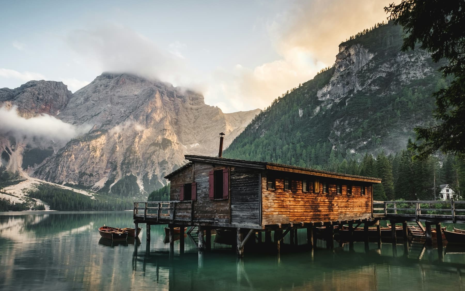 Lac au petit matin, avec des arbres sur la rive, photo d'ambiance